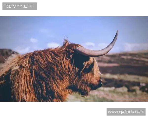 眼睛如星辰般迷人的足球明星们展现魅力与才华的完美结合